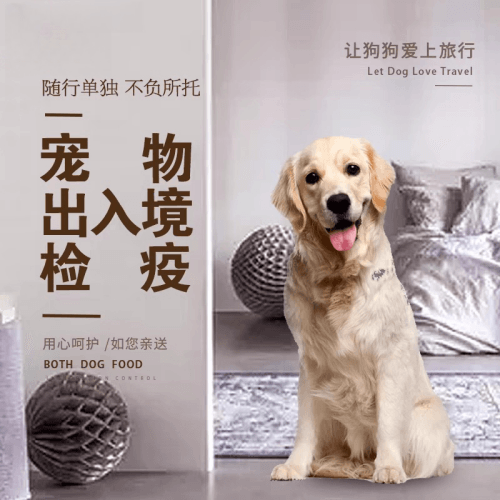 巢湖市宠物托运到哥伦比亚猫狗宠物入境规定和
