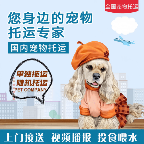 满财巢湖市宠物全球达宠物托运作为专业的宠物运输代理机构